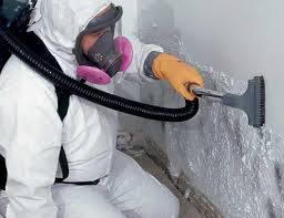 Best Mold Documentation for Insurance Claims  in Caldwell, NJ